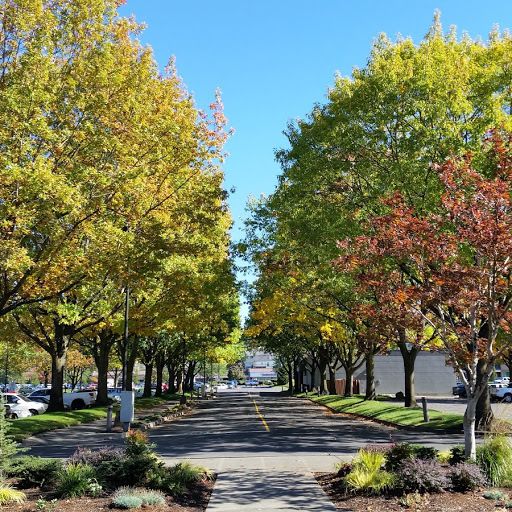 Ross Center: 11211 SE 82nd Ave, Happy Valley, OR 97086